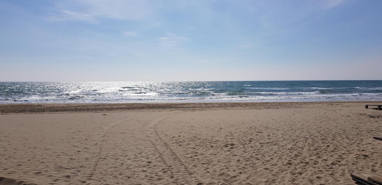 Apartmán Studio Naturiste "Sunshine" Heliopolis Fg 14 Agde Exteriér fotografie